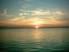 Thumb000048.JPG