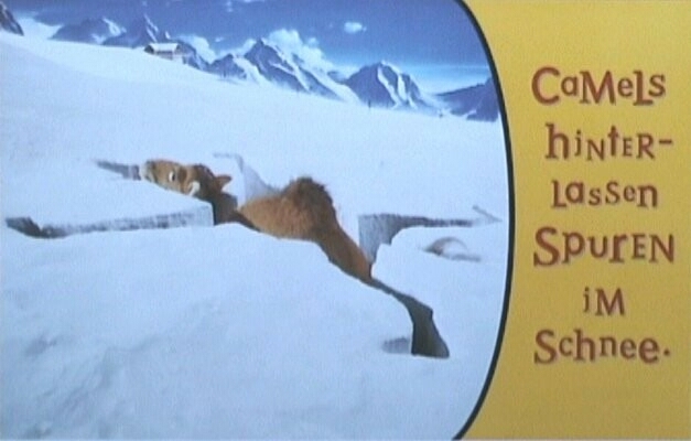 Camel-Camels hinterlassen Spuren im Schnee.jpg