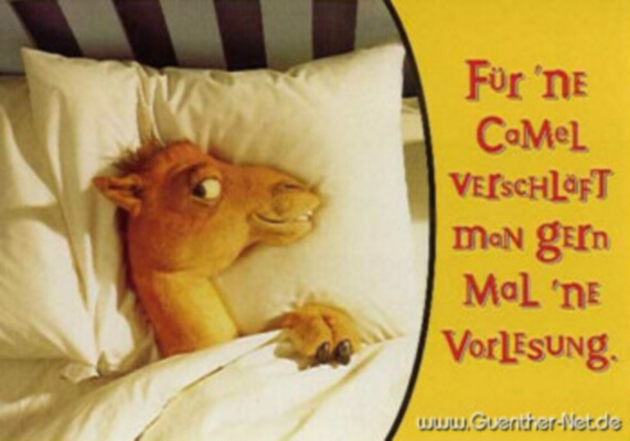 camel-Fuer ne Camel verschlaeft man gerne mal ne Vorlesung.jpg