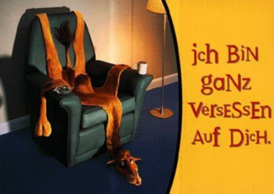 camel-Ich bin ganz versessen auf dich.jpg