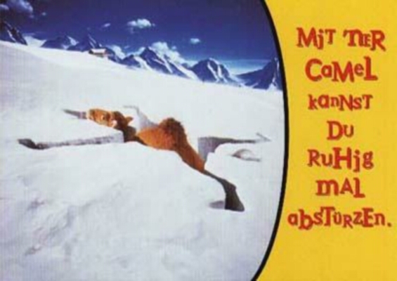 camel-Mit ner Camel kannst du ruhig mal abstuerzen.jpg