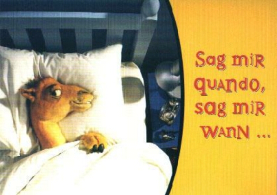 camel-Sag mir quando sag mir Wann.jpg