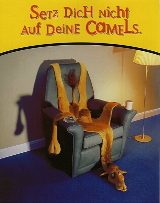camel-Setz dich nicht auf deine Camels.jpg