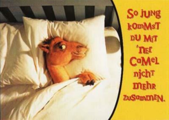 camel-So jung kommst du mit ner Camel nicht mehr zusammen.jpg