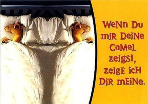 camel-Wenn du mir deine Camel zeigst zeige ich dir meine.jpg